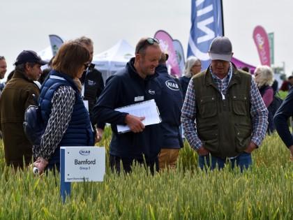 Niab staff talking to visitors at Cereals Event 2024
