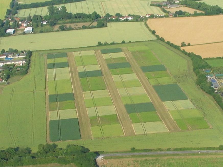 Aerial shot of the STAR site