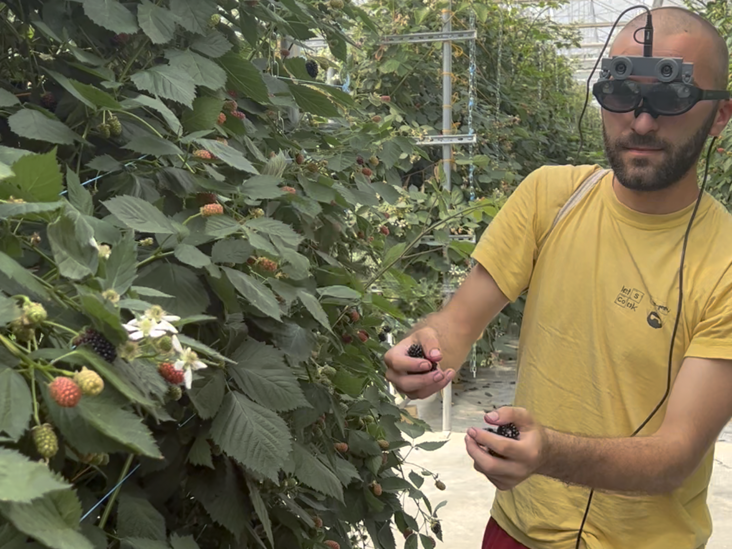 Augmented reality glasses being tested by pickers
