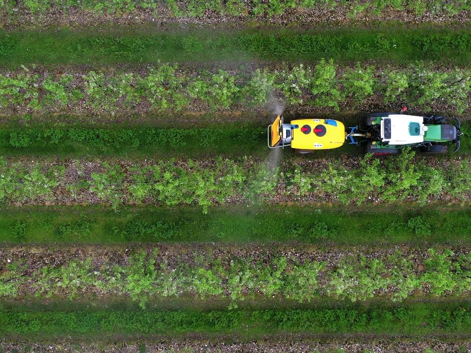 Aerial shot of a tractor spraying in orchard