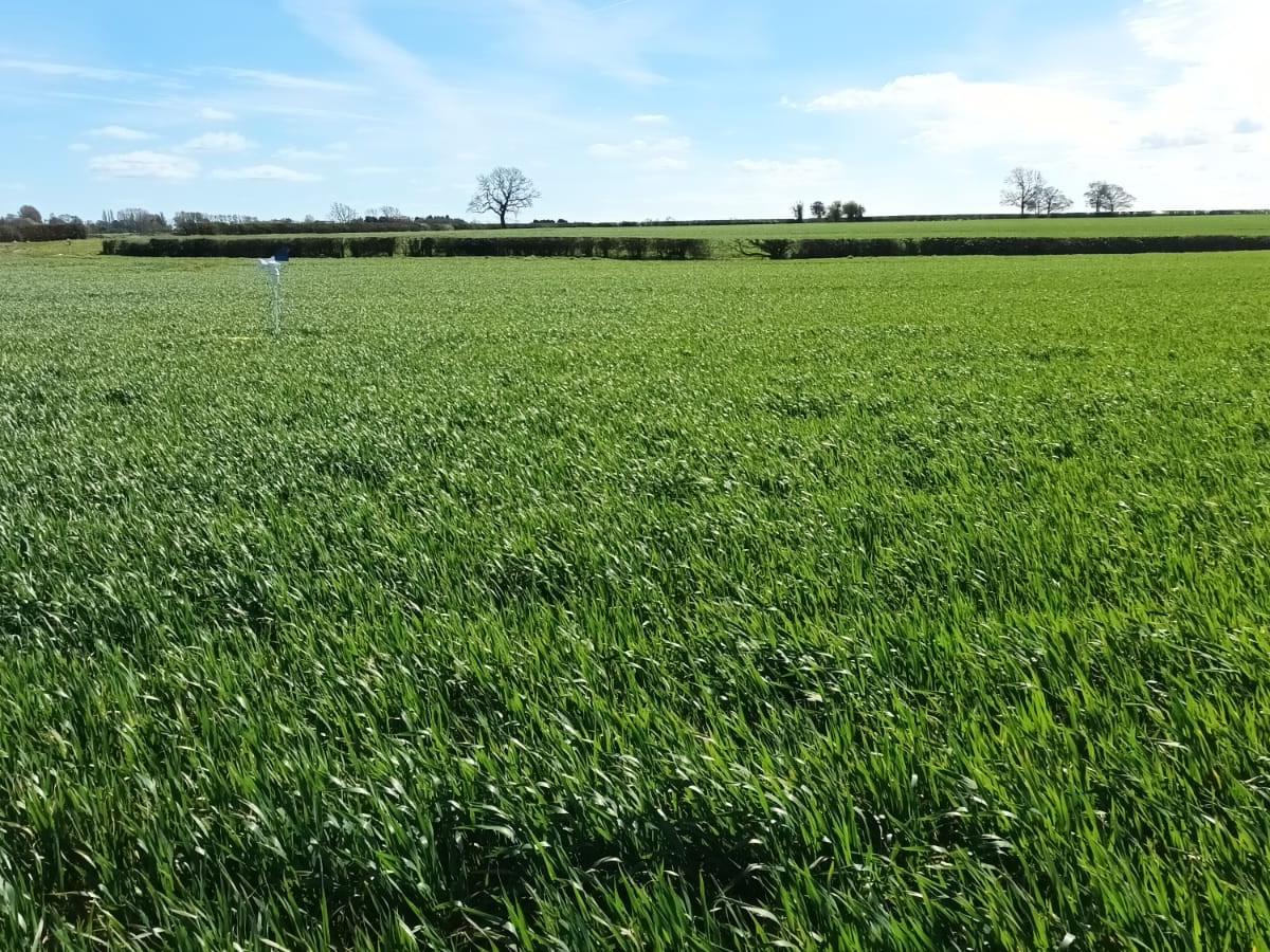 AHDB Strategic Farm Midlands