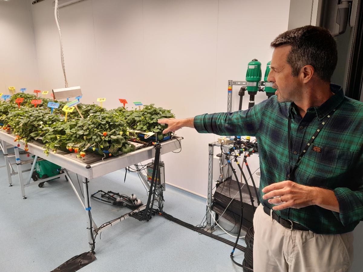 Niab staff member explaining research work in a growth room