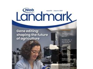 Niab Landmark Issue 59