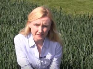 Dr Aoife O' Driscoll sitting in a winter wheat demonstration plot