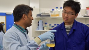 Niab staff member in a lab teaching a student