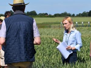 Aoife O'Driscoll demonstration fungicide management