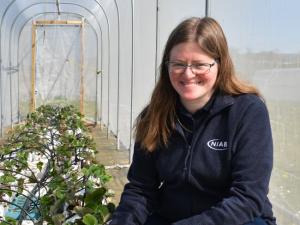 Dr Sarah Arnold