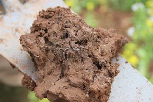 A spadeful of soil