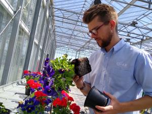 Ben Tea assessing plants in a glasshouse