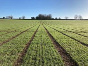 Field trials