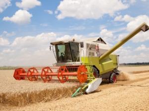More wheat/ha tackles climate change