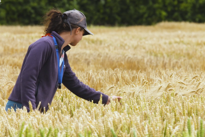 Crop inspector training