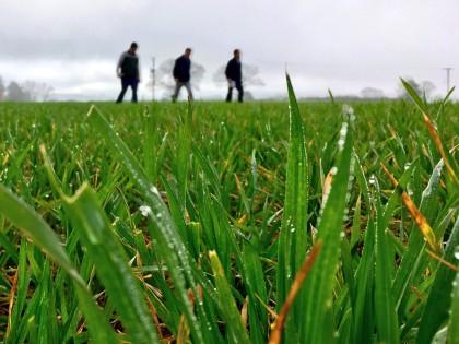 Agronomy field walking