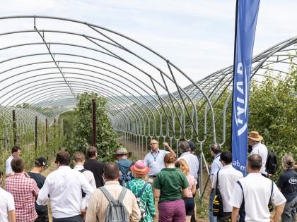 Visitors to Niab's Plum Demonstration Centre at Fruit Focus 2022