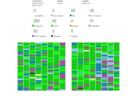 Pathogen diagnostics