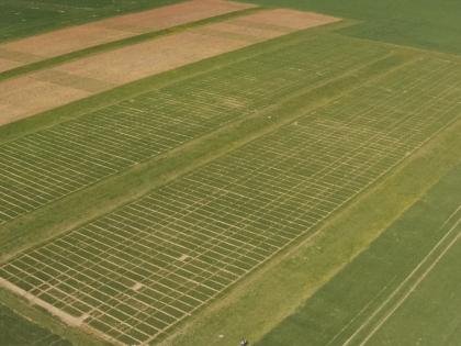 Exploiting novel wheat genotypes for regen-ag