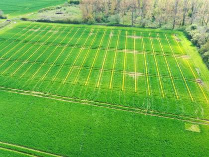 Saxmundham experimental trials site, Suffolk