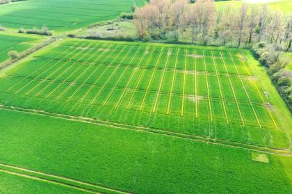 Saxmundham experimental trials site, Suffolk
