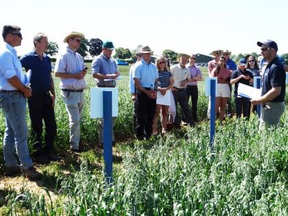 Sutton Scotney Open Day