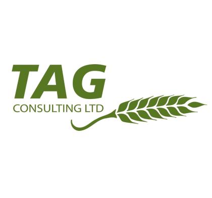TAG Consulting