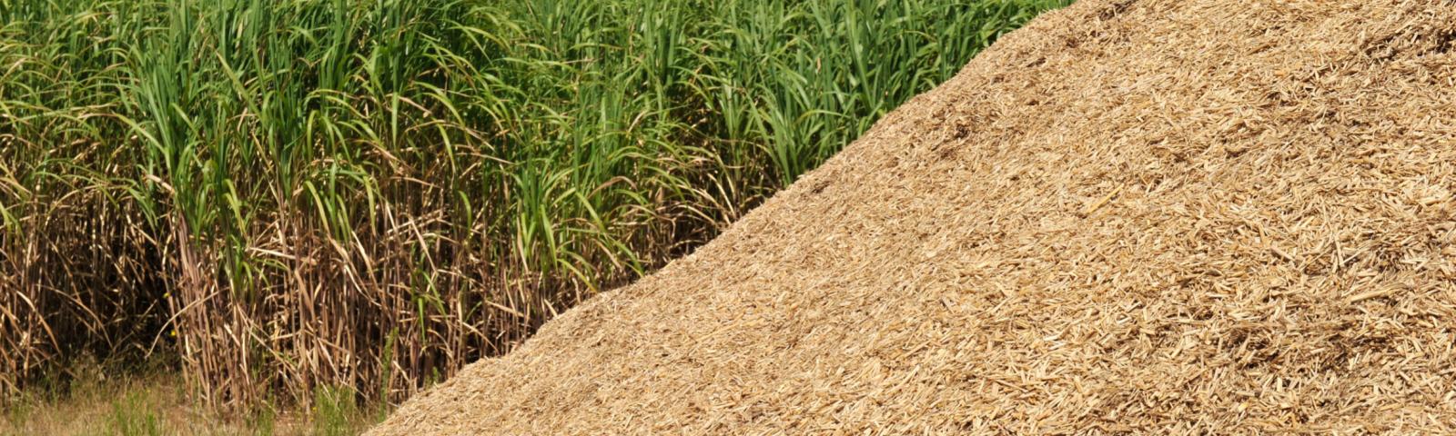 Miscanthus and wood chip