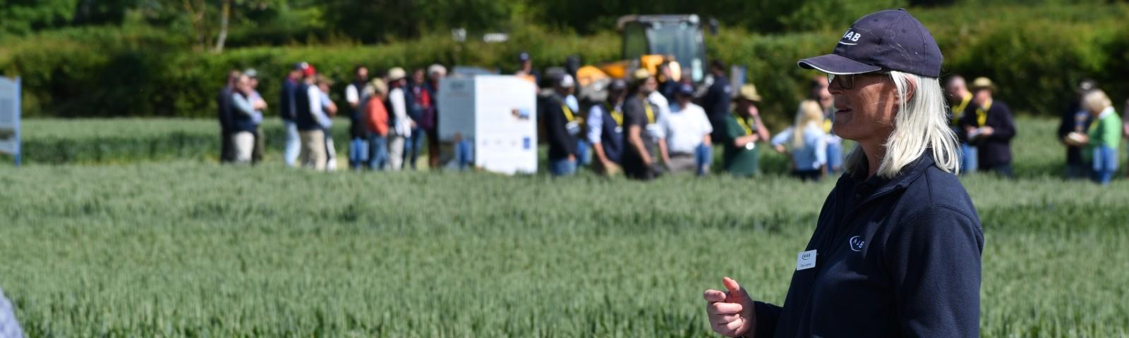 Cambridge Open Day
