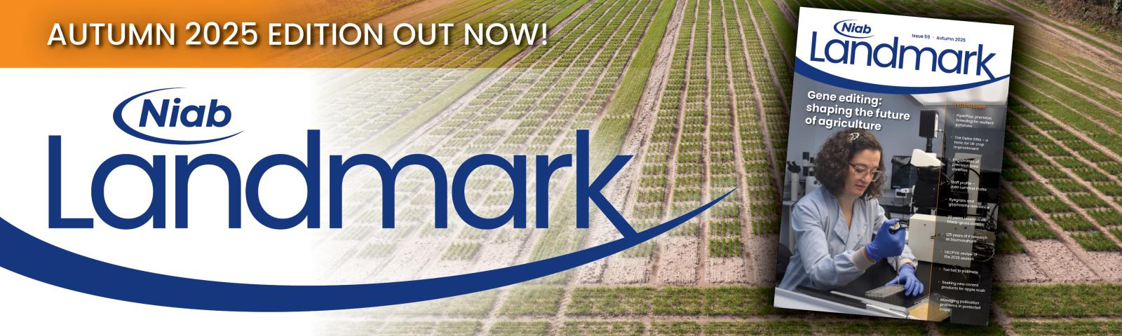 Landmark: Issue 59