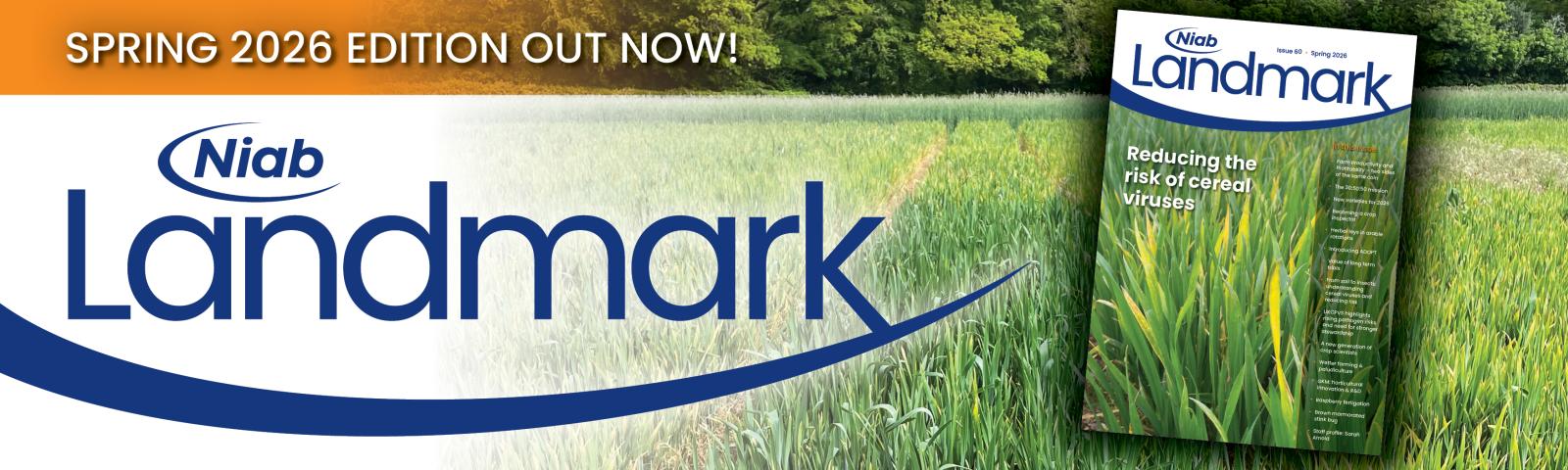 Landmark: Issue 60 Spring 2026