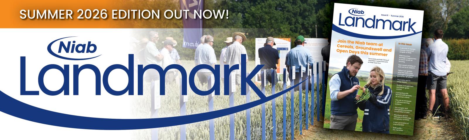 Landmark: Issue 61 Summer 2026