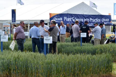 Visitors to the Niab stand at Cereals 2025