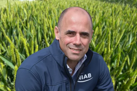 Professor Mario Caccamo in front of a wheat field