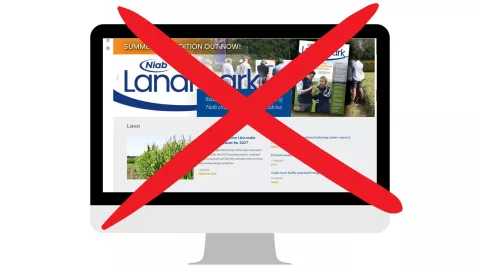 Niab website down