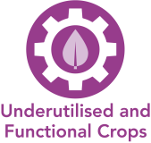 Underutilised and Functional Crops