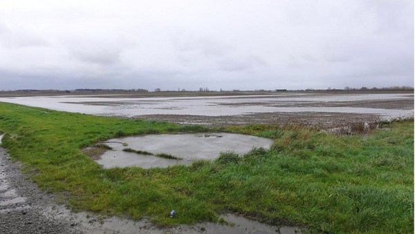 NZ Canterbury Plain - autumn drilling 2014