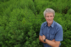 NIAB non-food crops project manager Steven Bentley in Artemisia trials