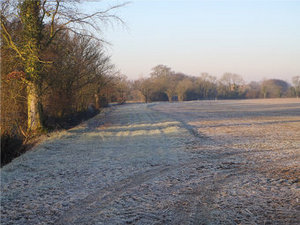 Buffer strips