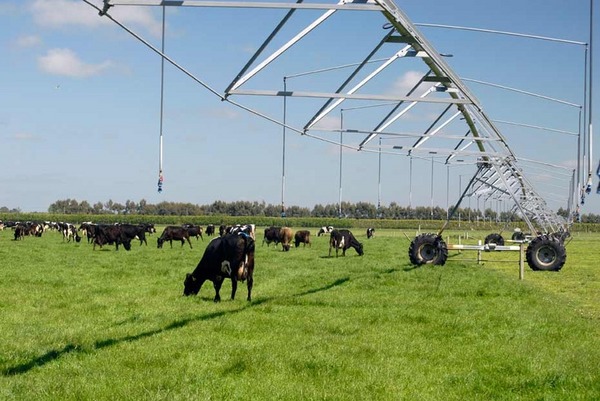 NZ dairy & irrigation