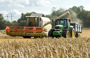 wheat harvest