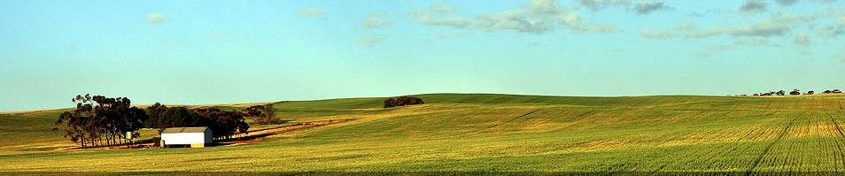 Farming in South Australia